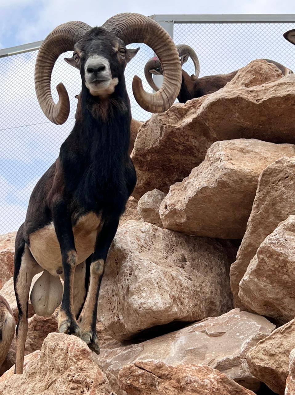 زوار ضمن المسار الخشبي